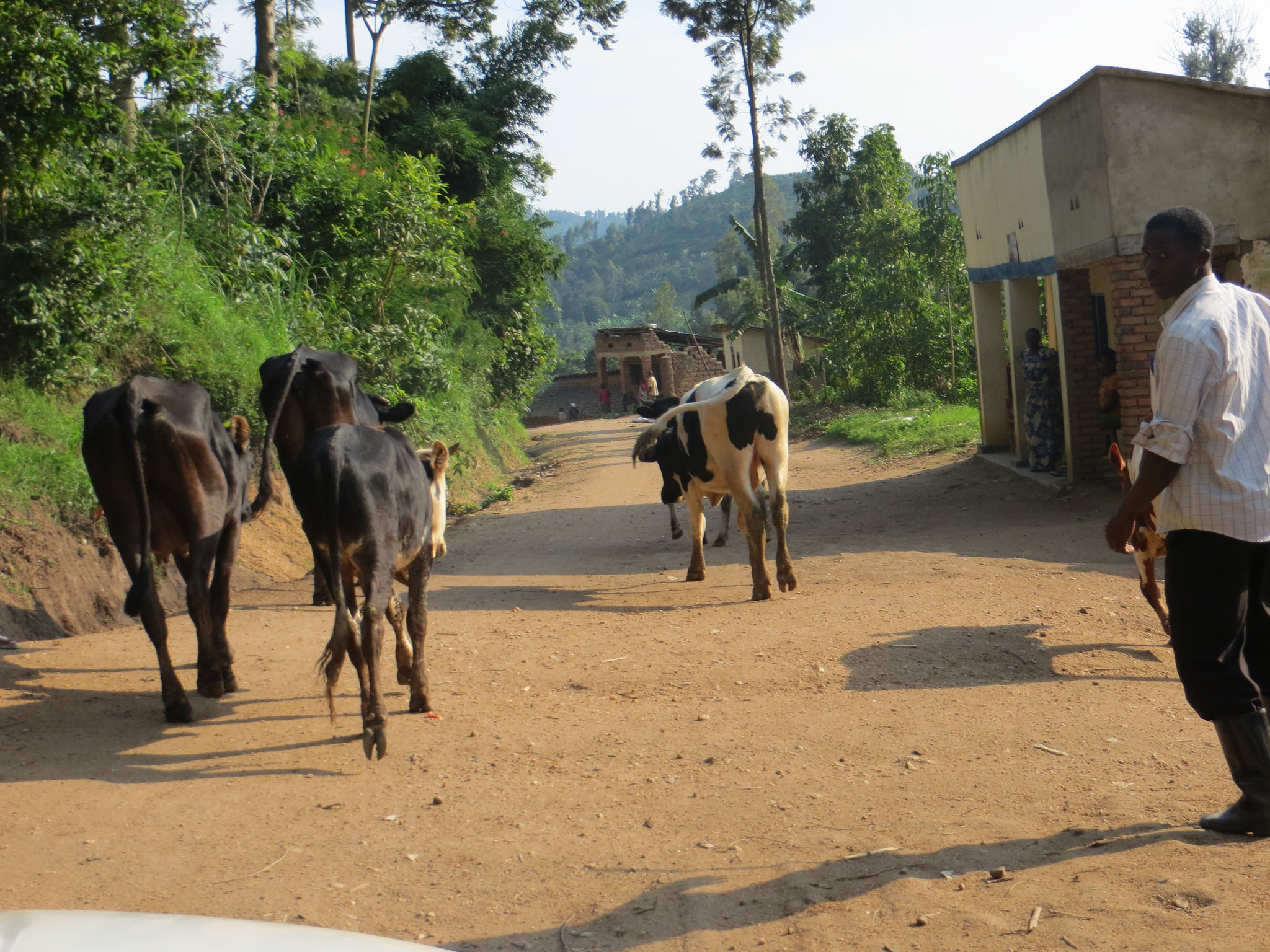 Rwanda